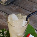 황소네집 이미지