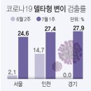 정부 "현상황 지속땐 8월중순 2천331명까지 증가후 감소"..총력 대응(종합) 이미지