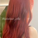 젤라헤어 이미지