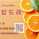 오각드레
