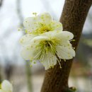 장선마을 이미지