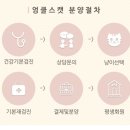 엉클스캣 이미지