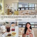 동덕지구대 | 대구 삼덕동신상카페 가오픈 동인동 크림브륄레 맛집 애견동반 경상브륄레