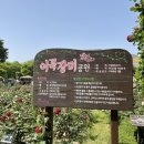 장미공원 이미지