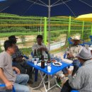 조안1리 이미지