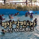 송도오션리조트 | 강원도 평창 알펜시아 리조트, 오션 700 워터파크 물놀이 후기 할인팁
