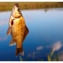 자연건강원 이미지