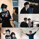 개와고양이 이미지