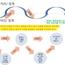 무위자연과 대교약졸으로 바라보기 이미지