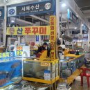 79수산 이미지
