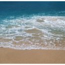 조수STAY 이미지