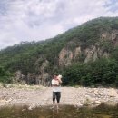 GR(울진군)-[불영계곡로]-상-5 | 울진 애견동반 여행지 추천 (ft. 울진 애견동반가능 식당, 계곡, 바다, 펜션)