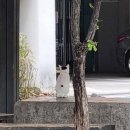 씨알어린이공원 이미지