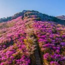 영취산봉수 Daum카페