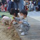 하마터어린이공원 이미지