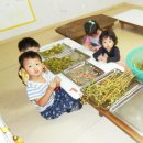 오색어린이집 이미지