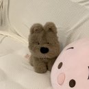 서구-01-149 | 대전 애버그린뷰티 | 용문동 왁싱 추천 : 대전 서구 눈썹왁싱