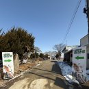 시골막걸리 | 김제 죽산주막 시골마을 이장우 막걸리 내돈내산 구매 후기