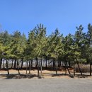 제1체육공원 | 인천서구공원 검단공원 오류동 드림파크 주민체육공원 비상연락처