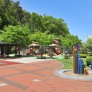 용인중앙공원 이미지