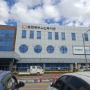 시립북부노인병원앞 | 2025.10.22. 사군자 수업 : 북부노인 복지회관