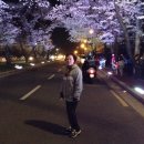 김유신장군로 이미지