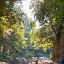 안덕면 감산리 재활용 도움센터 이미지