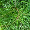 숲사랑홍보관 | 해파랑 프로젝트 홍보