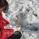 애니카랜드동김해점 | 부산근교 양산출발 경남 김해 가야랜드 눈썰매장 아이랑 놀기 좋은 곳 추천