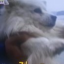 포동이농장 이미지