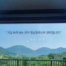 즐기go