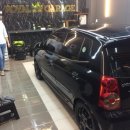 로얄게러지 이미지