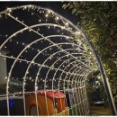 모모 키즈 풀빌라 이미지