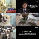 김재윤농장 이미지