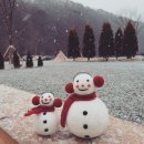 아우어캄푸스 이미지