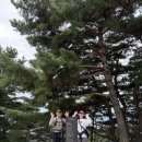 무궁화공원화장실(운동장) | 아차산 헬스장, 산스장 (상록 운동장, 무궁화 체육회)