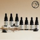 캔들하우스 이미지