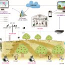 팜스마트 이미지