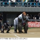 덱스터파트너스
