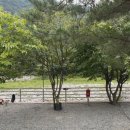 머루다래 민박 이미지