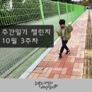 세종 효 태권도 | 10월 3주 차 육아 일기 : 자유부인 데이 그리고 부산 경마공원 ♬