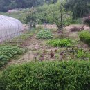 우후농장 이미지