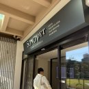 못된강아지 | 개예민견 꿀잠 가능한 독채 펜션보다 좋은 애견동반호텔 소노펫 내돈내산 후기 SONOPET 할인 예약