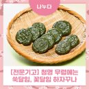 화월축산 | [전문기고] 청명(淸明) 무렵에는 쑥달임, 꽃달임 하자꾸나