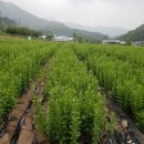 으뜸농장 이미지