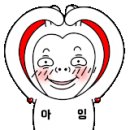 보스톤수치과의원 네이버블로그