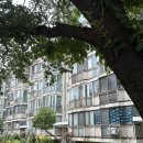 노원-상계-2464 이미지