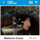 동굴모텔 | Waitomo Lodge 숙소 후기 와이토모동굴 호비튼 방문