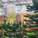 유니스의정원 이미지