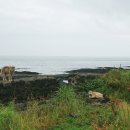 한동환해장성 이미지